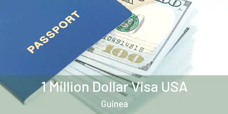 1 Million Dollar Visa USA Guinea