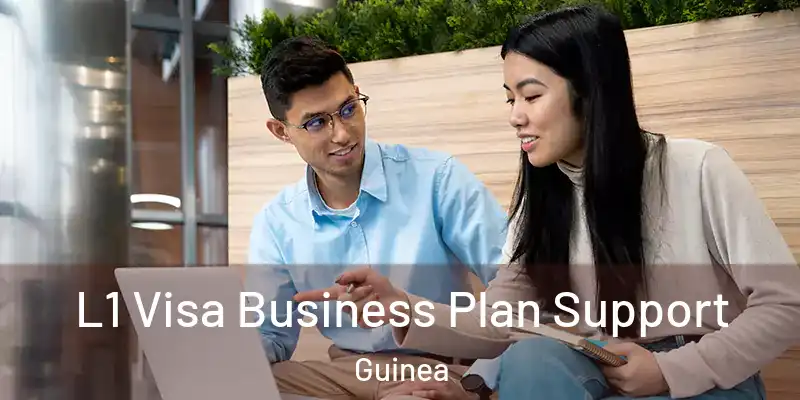 L1 Visa Business Plan Support Guinea