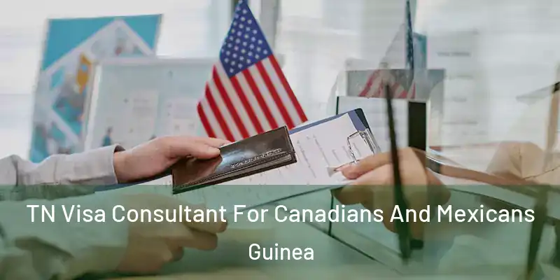 TN Visa Consultant For Canadians And Mexicans Guinea