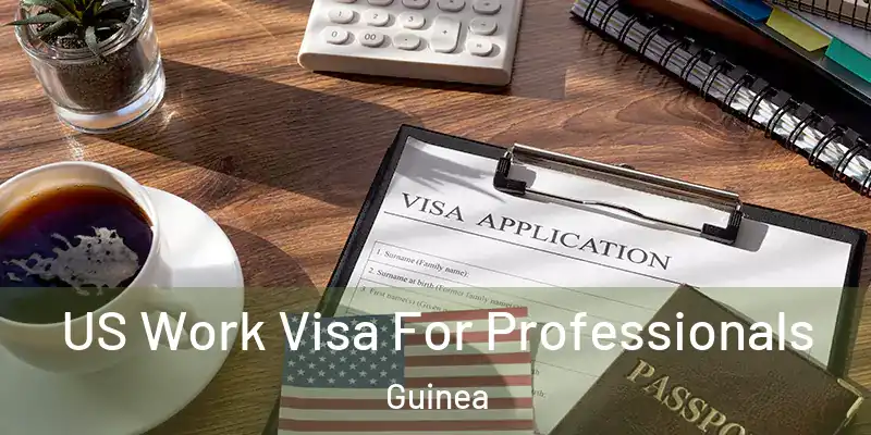 US Work Visa For Professionals Guinea